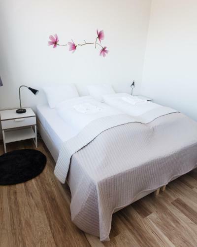 Albergue Route 1 Guesthouse