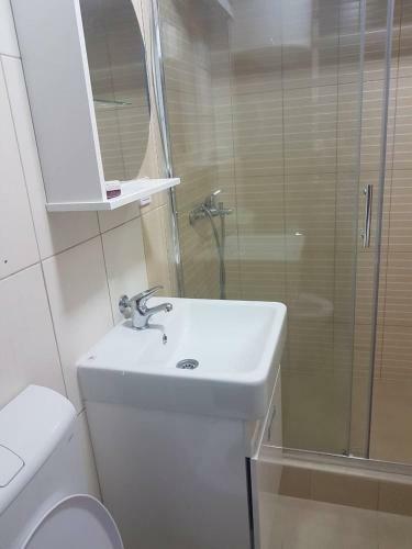 Apartments Milacic