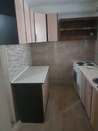 Apartments Milacic