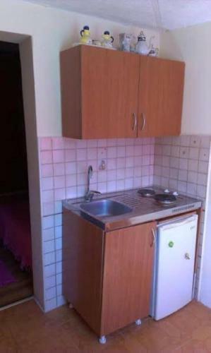Apartments Milacic