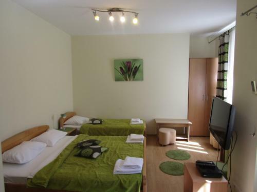 Hostal Central Studios