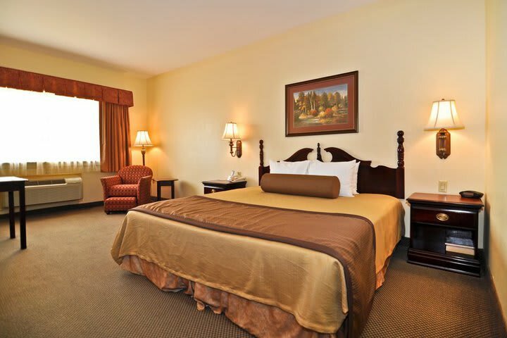 Hotel Best Western Houston Inn And Suites