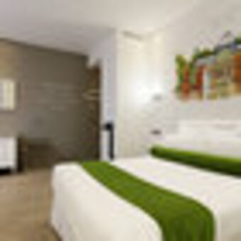 Hotel Mayorazgo