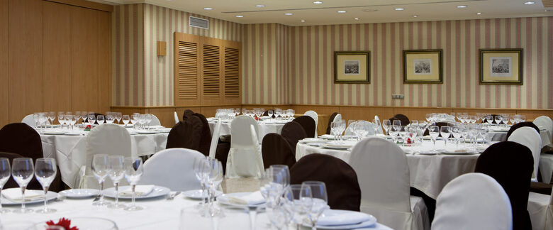 Hotel Praga