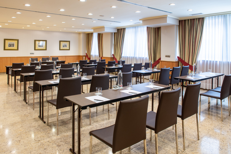 Hotel Praga