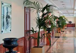 Hotel Meli� Barajas