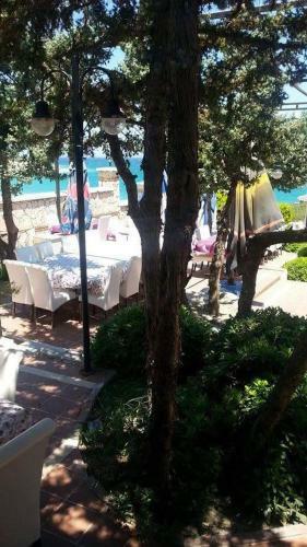 Bed & Breakfast Yona Motel