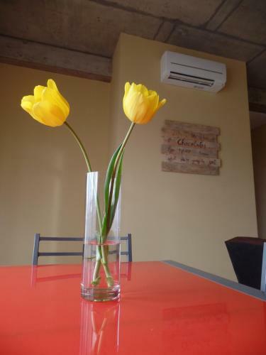 Apartamentos Pr�ncipe Apart Center