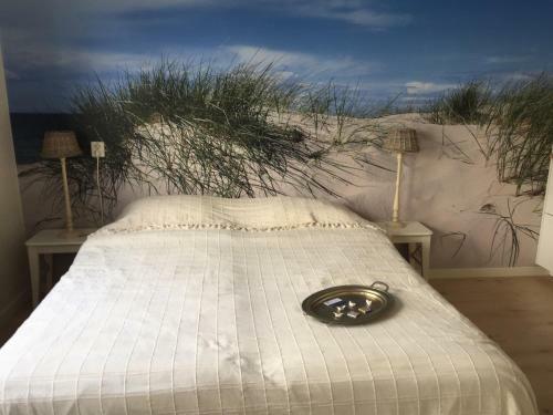 Posada Pension Zandvoort Aan Zee