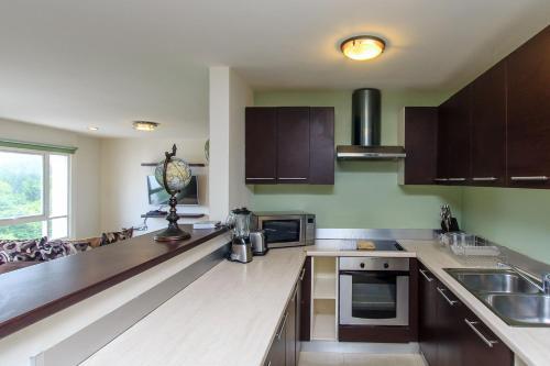 Apartamento Plaza Par.1203 Penthouse