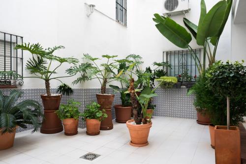 Urbanchic Parras Apartment