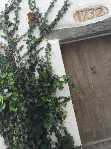 Apartamento Casa Del Pi