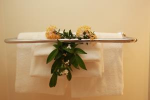 Hotel Bougainvillea Beach Resort