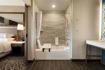 Hotel Embassy Suites By Hilton Minneapolis Downtown