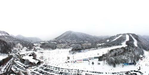 Hotel Yongpyong Resort Tower Condo
