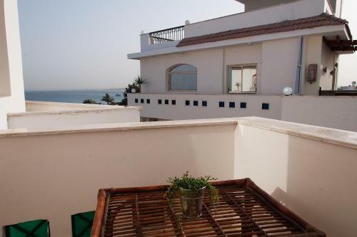Elaria Hotel Hurgada
