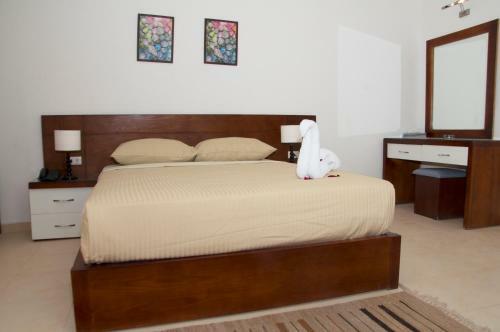 Elaria Hotel Hurgada