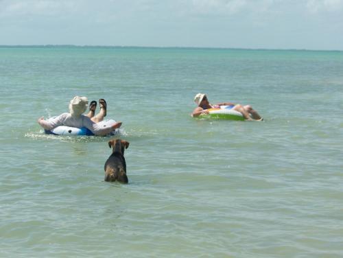 Serenity Sands Bed And Breakfast