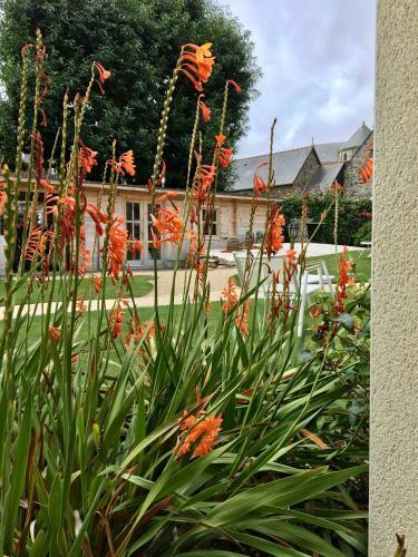 Hotel H�tel Les Agapanthes