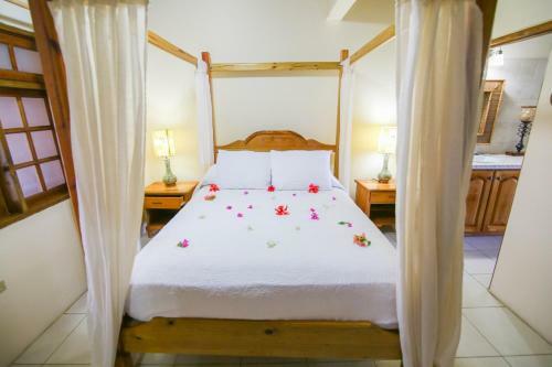 Hotel Catcha Falling Star