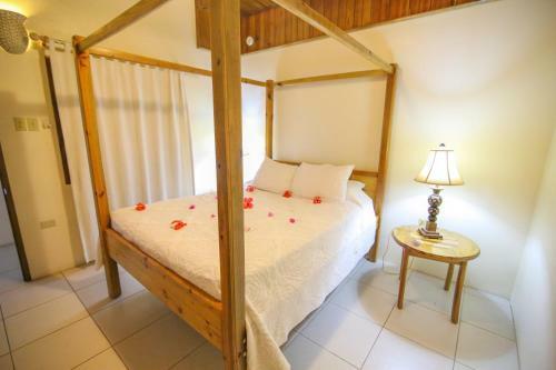 Hotel Catcha Falling Star