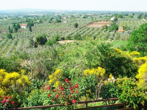 Agroturismo Agriturismo Montigliano