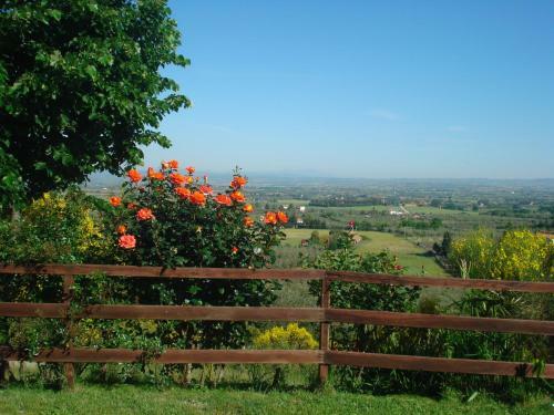 Agroturismo Agriturismo Montigliano