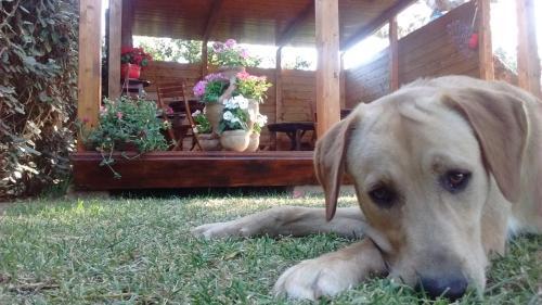 Bed & Breakfast La Contea