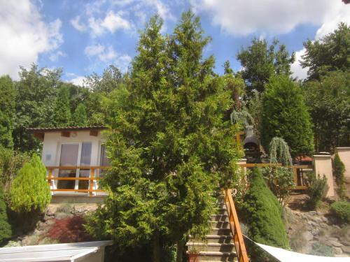 Apartments Villa Ivica