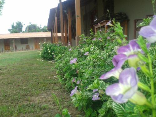 Hotel Residencial Pedasi