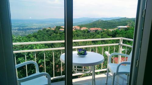 Hostal Guest House Alazani Valley