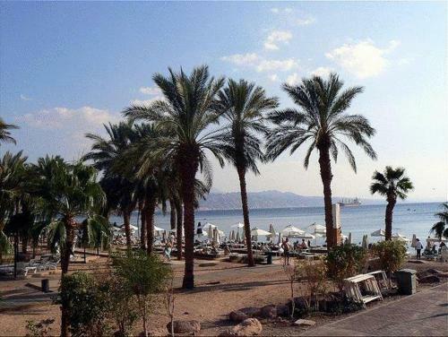 Apartamento Jordan Luxury Suite