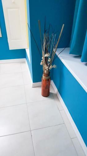 New Kingston Guest Apartments @ Donhead