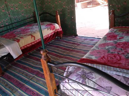 Azzabi Nomad Camp