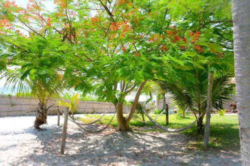 Hotel Baobab Beach Resort And Backpackers