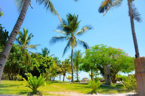 Hotel Baobab Beach Resort And Backpackers