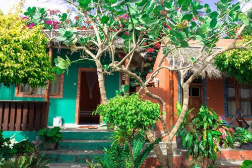 Lodge Dolphin Dhow Safaris