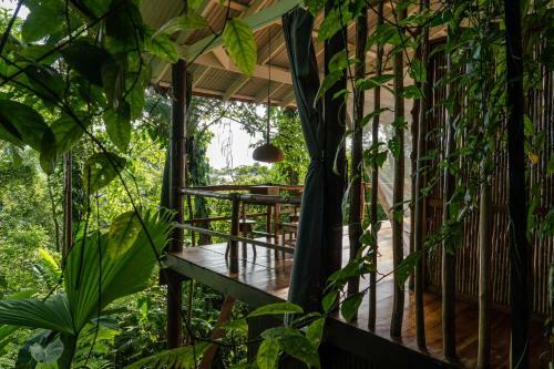 Posada La Loma Jungle Lodge And Chocolate Farm