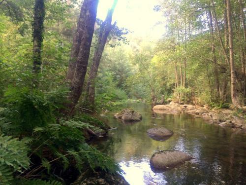 Agroturismo Casa Da Ribeira Do C�rio