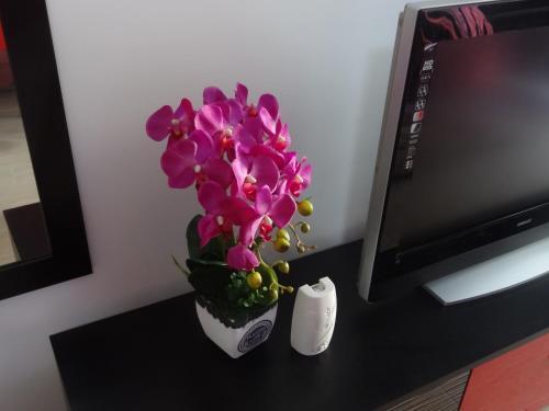Apartamento Felicia Resort
