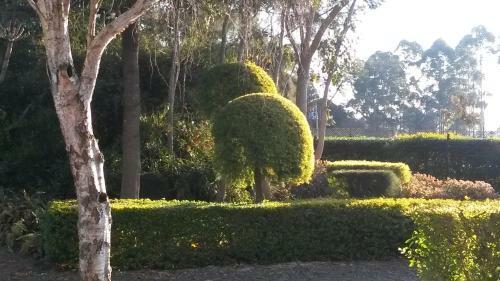 Bed & Breakfast African Flair Country Lodge