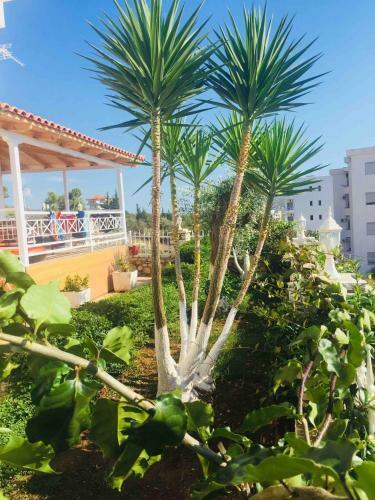 Apartments On The Beach