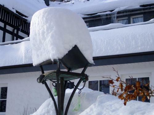 Hotel Gasthof Braun