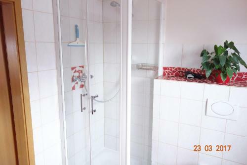 Hostal Pension Sander