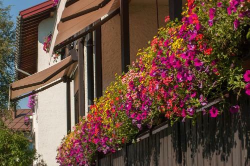 Steinhausers Hotel Hochb�hl