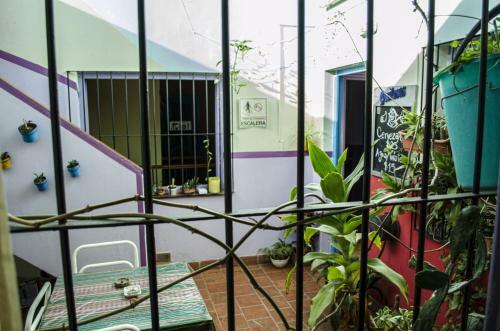 La Covacha Hostel