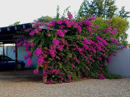 Villa Broken Hill Outback Church Stay