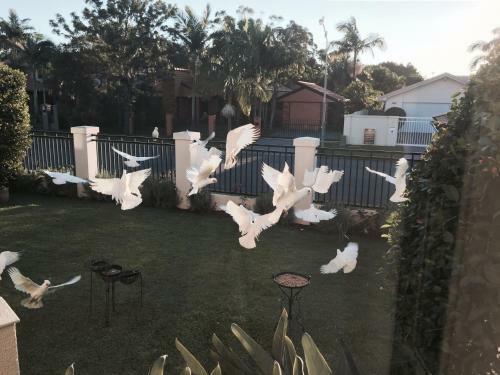 Broadbeach Waterfront Holiday House