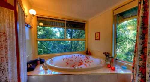 Lodge The Falls Montville