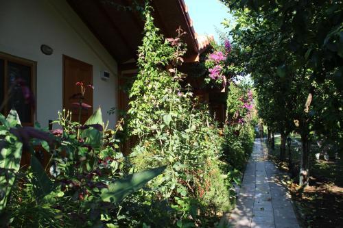 Hostal Blue Paradise Pension